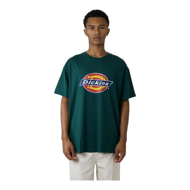 Dickies Classic Distressed Oversize Box Fit S/S Tee - Spruce