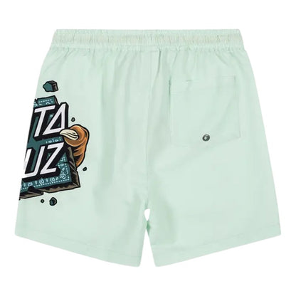 Santa Cruz Youth Johnson Beast Dot Boardshorts - Aqua